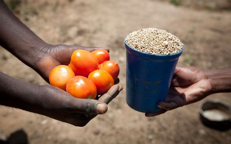 دادوستد کالا با کالا