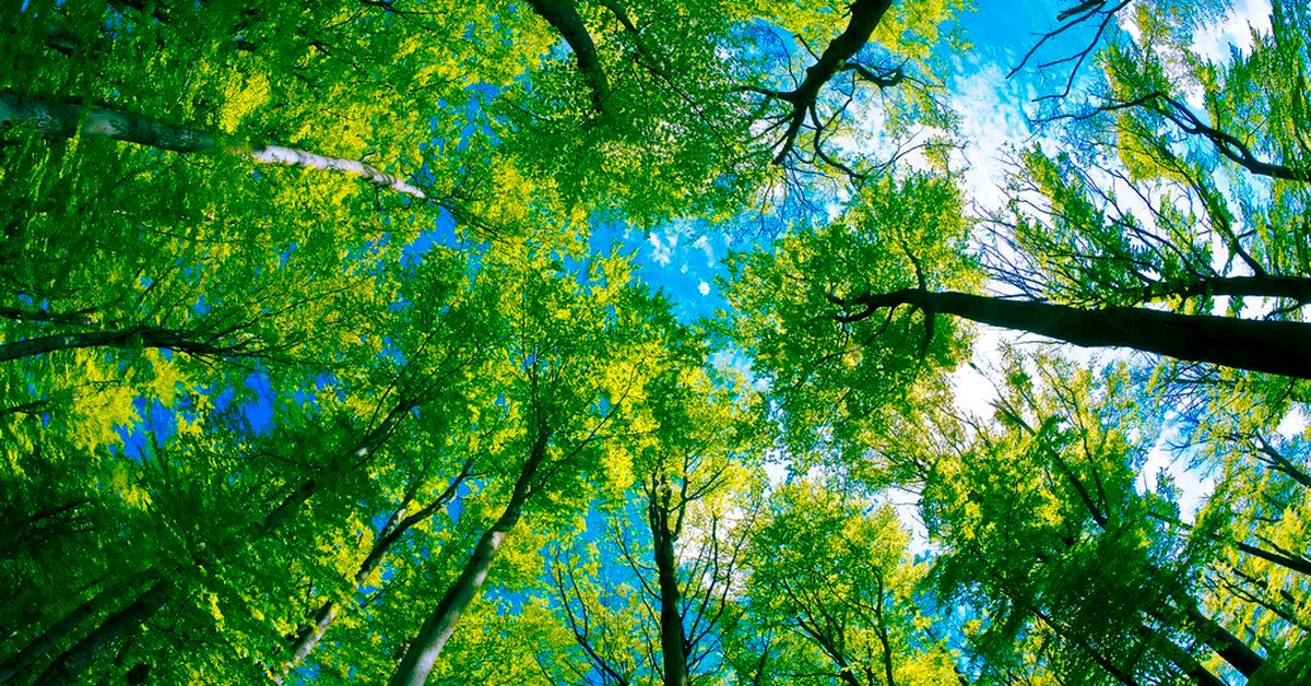 اقدام جالب شرکت کانادایی برای کاهش آلایندگی ETF بیت کوین خود