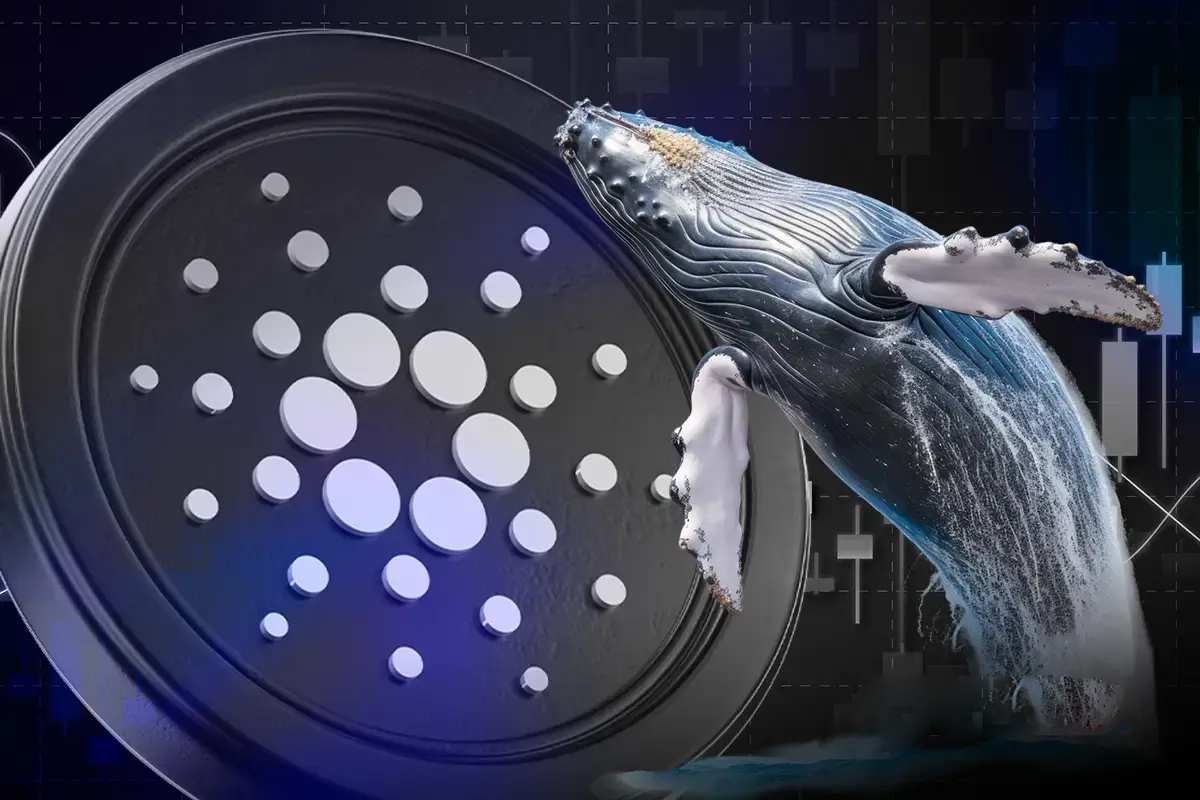 حمایت نهنگ‌ها و معامله‌گران خرد از بازیابی قیمت کاردانو