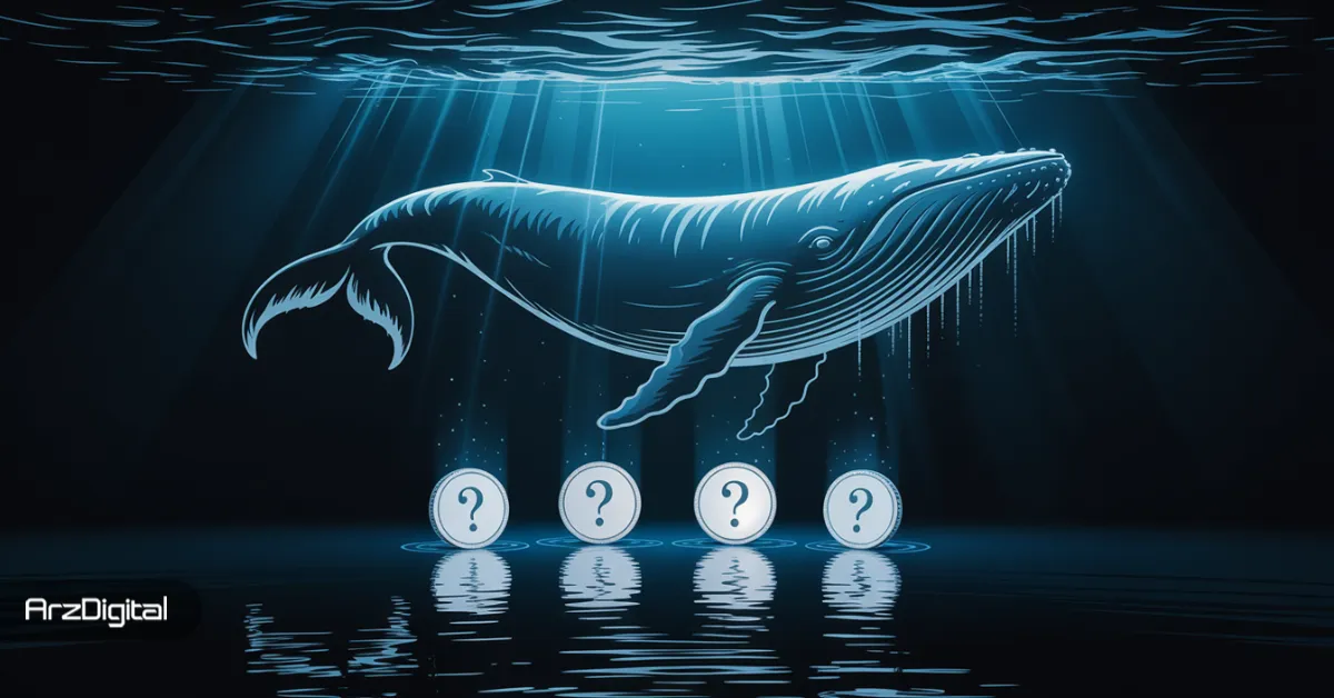 شکار نهنگ‌ها در سکوت بازار: ۴ آلت‌ کوین که باید قبل از نوامبر ۲۰۲۵ زیر نظر بگیرید