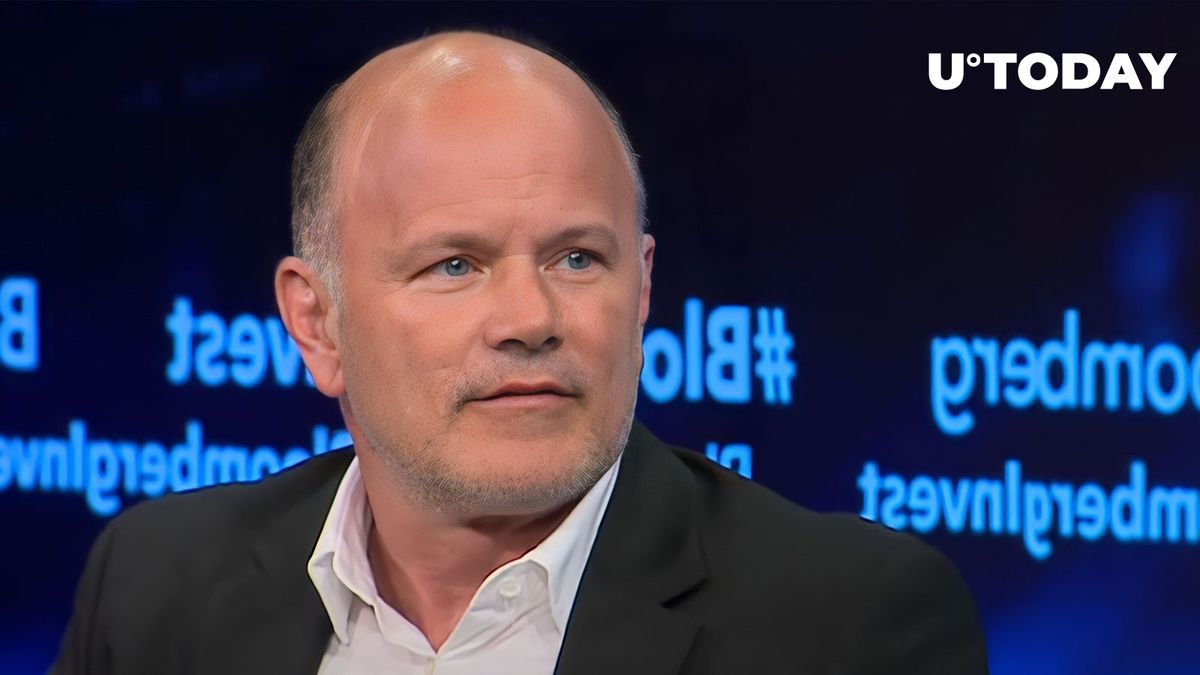 مایک نووگراتز صرافی FTX را با استارتاپی بدنام مقایسه کرد