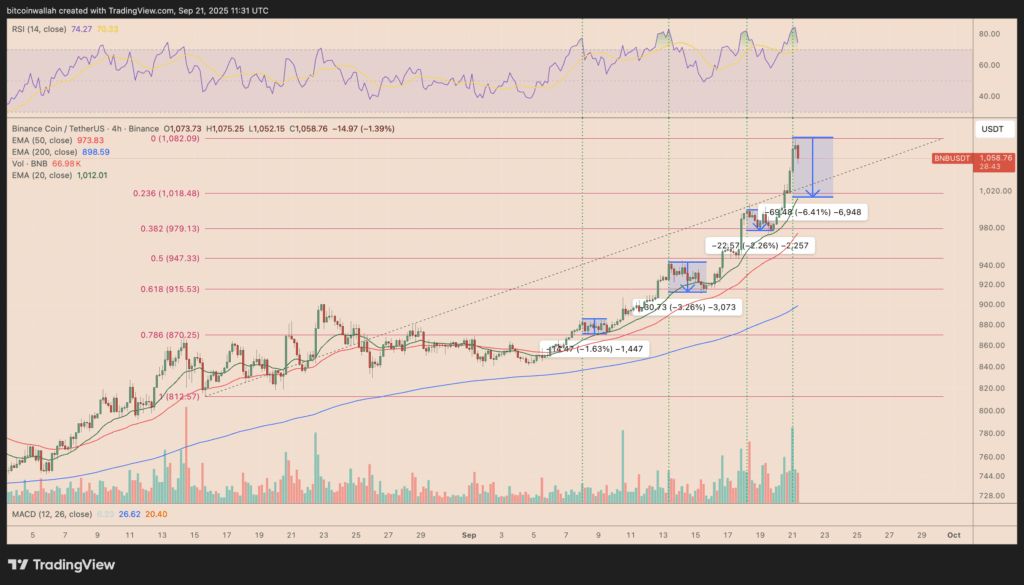 پامپ۱۰ درصدی قیمت BNB در بازار ریزشی ارزهای دیجیتال تحلیل تکنیکال بایننس کوین
