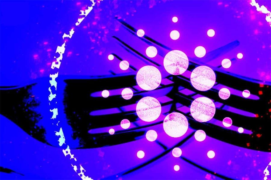 آی‌او‌اچ‌کی: ۱۳ صرافی ارز دیجیتال از هاردفورک واسیل پشتیبانی می‌کنند