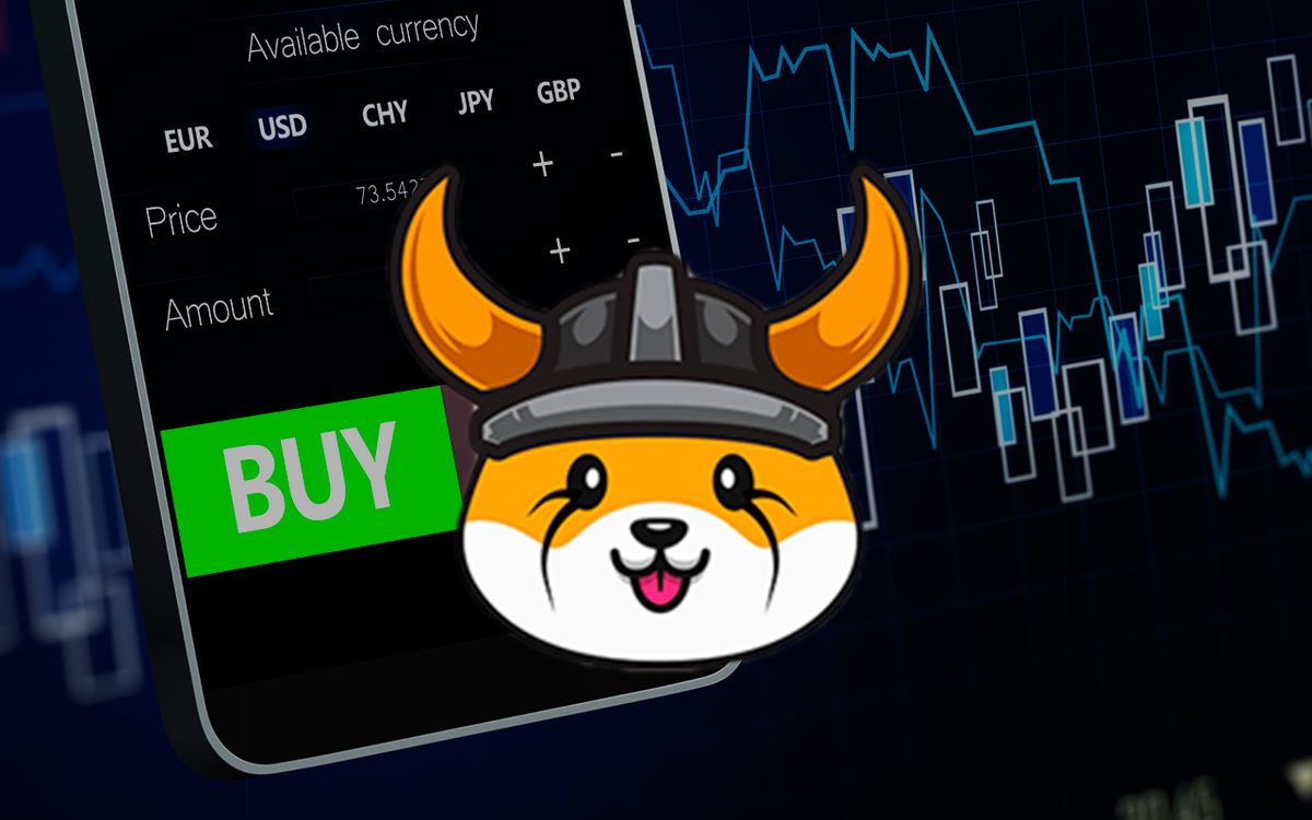 نهنگ‌ BNB، مقدار ۳٫۴ میلیون دلار ارز دیجیتال FLOKI خریدند