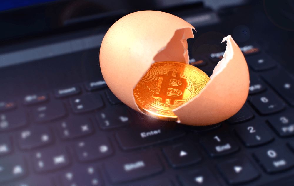 آیا نسبت به آینده بیت کوین بدبین یا از آن متنفر هستید؟ این مقاله را بخوانید !