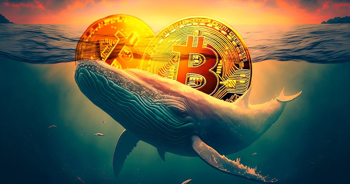 انتقال ۵۸۸ میلیون دلار بیت‌ کوین به صرافی‌ توسط نهنگ مشکوک