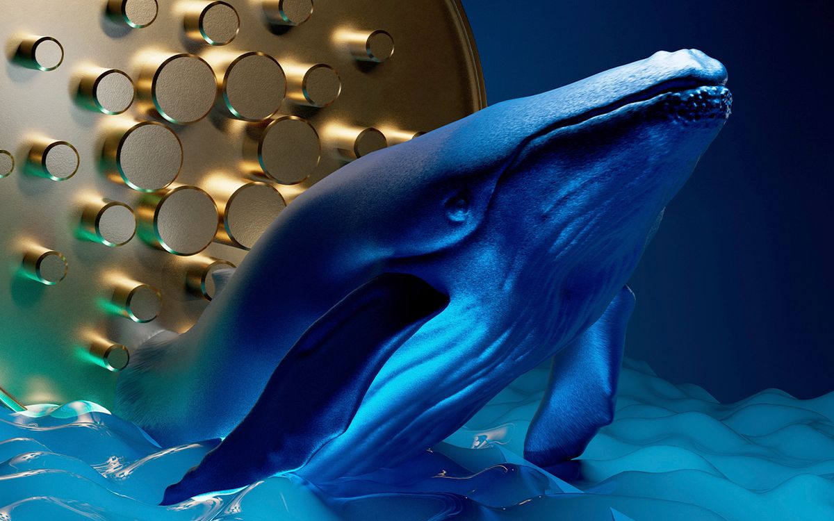 تعداد آدرس‌های دارای بیش از ۱۰۰ هزار کاردانو رو به افزایش است