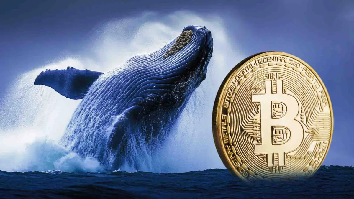 جهش ۱۷ میلیارد دلاری ورودی بیت‌ کوین توسط نهنگ‌ها به صرافی‌ها