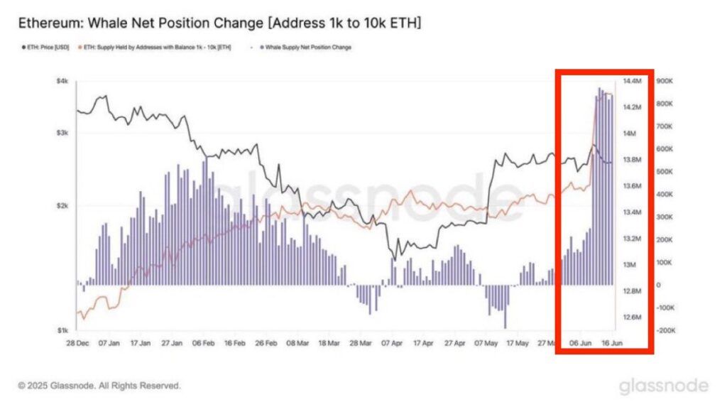 بزرگترین خرید نهنگهای اتریوم از سال ۲۰۱۸ ثبت شد! خرید نهنگهای اتریوم