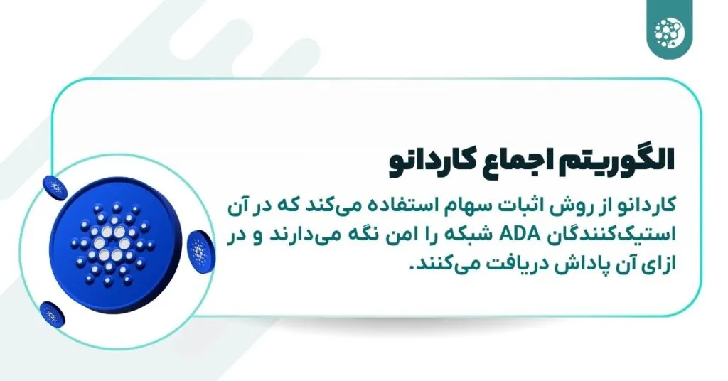 مقایسه ریپل و کاردانو؛ کدام یک برای سرمایهگذاری بهتر است؟ الگوریتم اجماع کاردانو