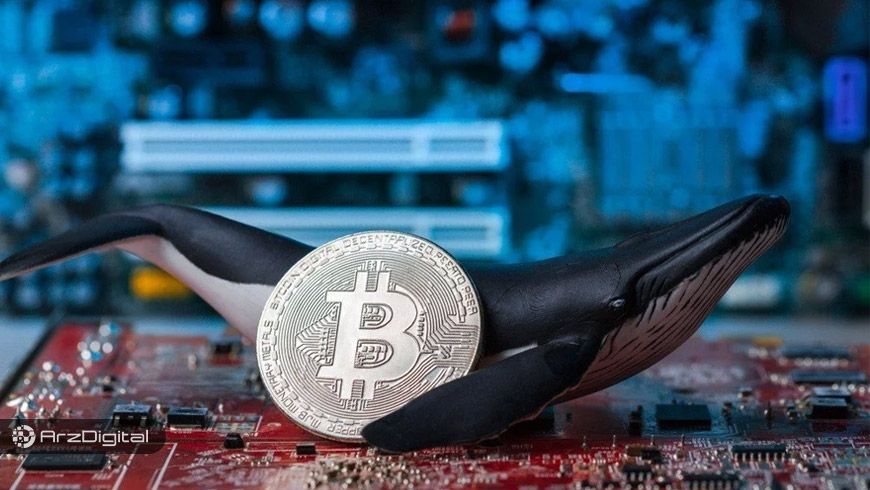 بیش از ۴۶۸ میلیون دلار بیت کوین فقط با ۳۰۰ دلار کارمزد منتقل شد!