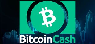 بیت‌ کوین‌ کش با جهش ۴۰ درصدی بهترین دارایی لایه‌یک سال شد