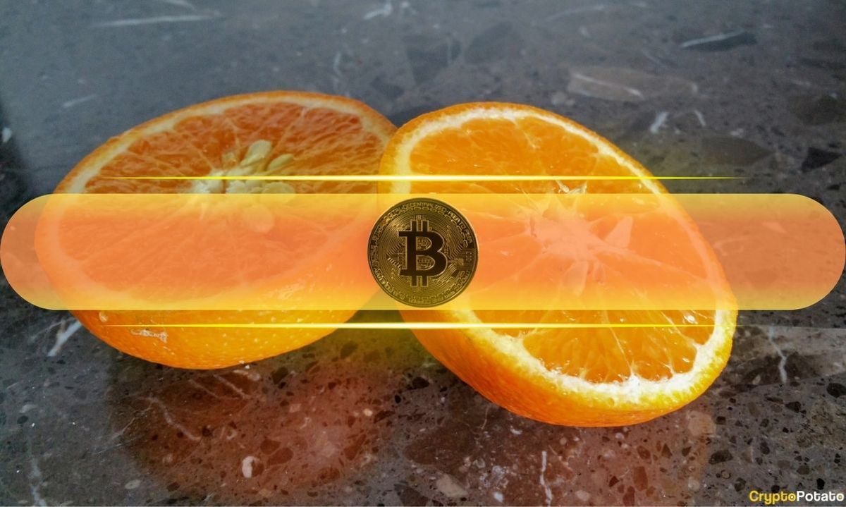پس از هاوینگ ۲۰۲۴، بیت کوین دو برابر طلا کمیاب میشود