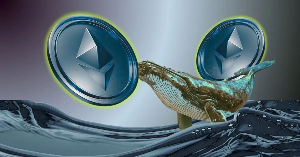 یک نهنگ اتریوم با خرید ۳۰ هزار واحد ETH، سود ۱,۵۲ میلیون دلاری بدست آورد