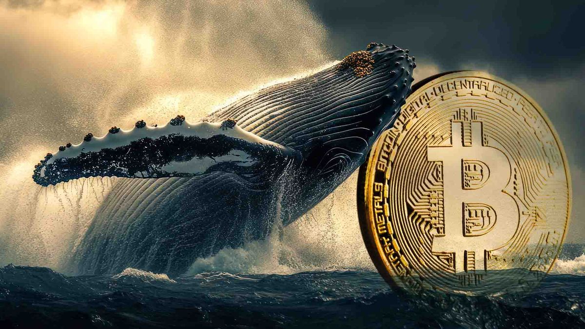 انتقال حجم بالای بیت‌ کوین توسط دو نهنگ بزرگ به صرافی‌ها