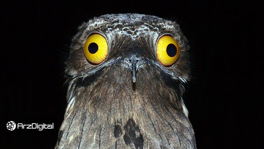 داستان بیت کوین‌هایی که به احمقانه‌ترین شکل ممکن از دست رفته‌اند