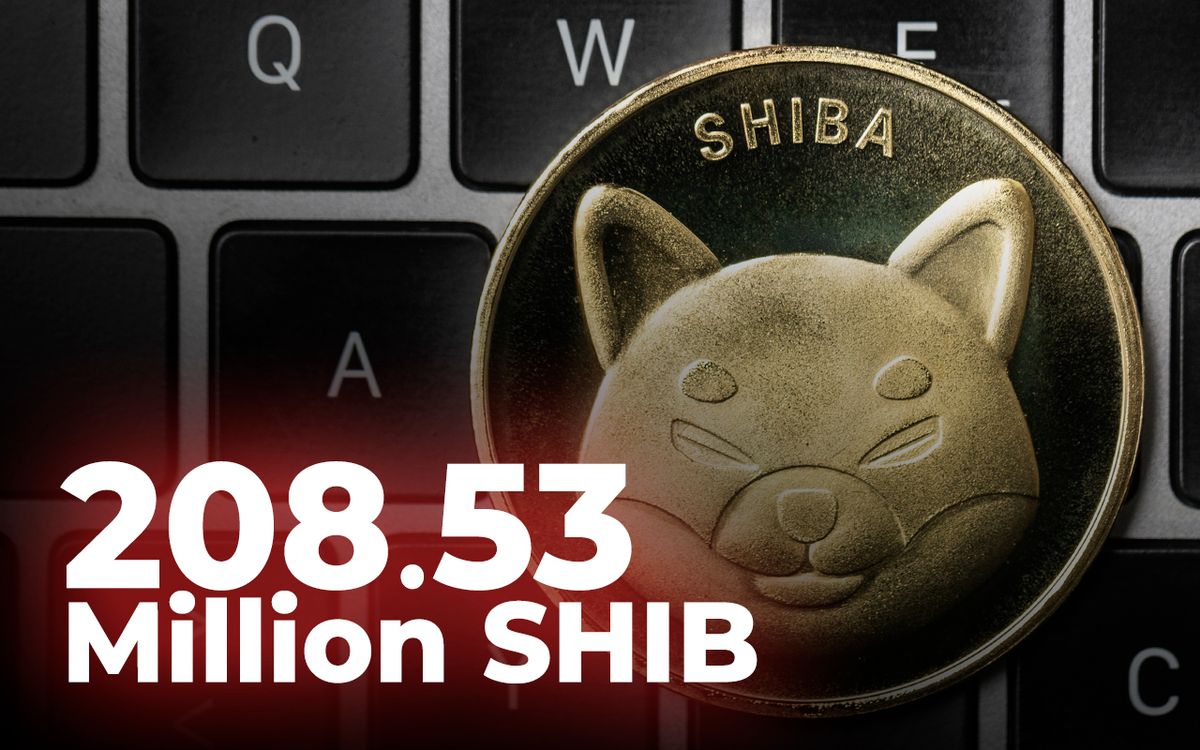 سوزانده شدن ۲۰۸ میلیون توکن شیبا اینو در شبانه روز اخیر