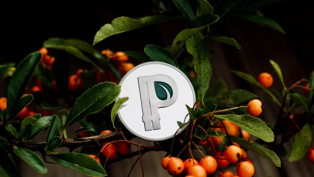 سفر در زمان؛ مروری بر بازار ارزهای دیجیتال در سال 2013 ! سفر در زمان؛ مروری بر بازار ارزهای دیجیتال در سال 2013 !