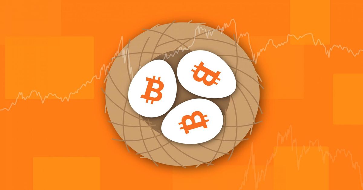 تام لی: بیت کوین داستانی از نسل هزاره است