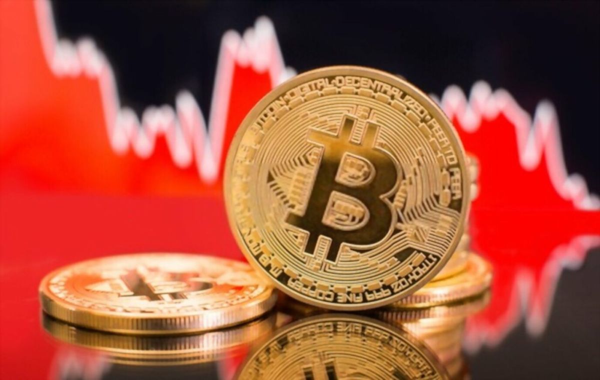 آرک اینوست: میزان بیت کوین هولدرهای بلندمدت به اوج تاریخی خود رسیده است