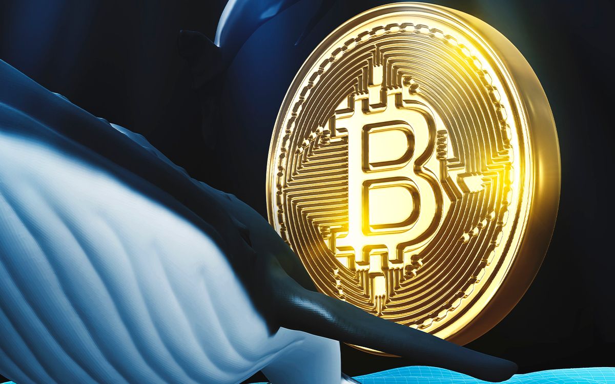 نهنگ‌های بیت کوین به طور فعال مشغول فروش دارایی‌های خود هستند