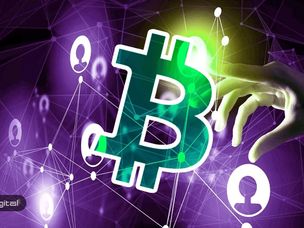ارتباط بیش از نصف تراکنش‌های بیت کوین کش با یک آدرس کیف پول
