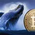 جهش ۱۷ میلیارد دلاری ورودی بیت‌ کوین توسط نهنگ‌ها به صرافی‌ها