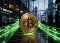 تحلیلگر بلومبرگ: بازار کریپتو سردترین زمستان تاریخ خود را تجربه می‌کند
