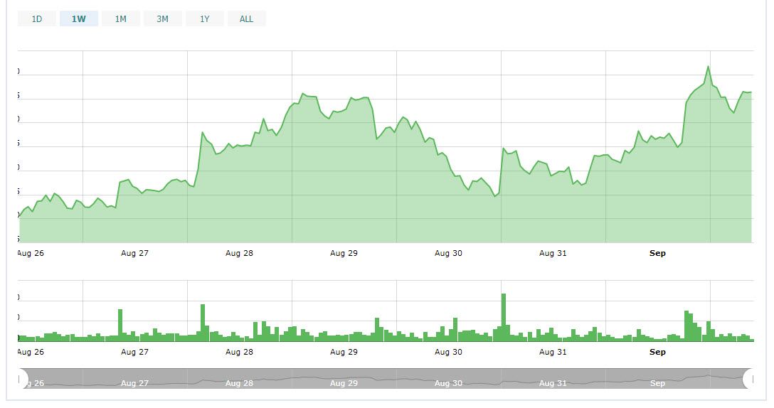صعود بازار ارزهای دیجیتال/ رشد 135 درصدی دوج کوین در سه روز ! صعود بازار ارزهای دیجیتال/ رشد 135 درصدی دوج کوین در سه روز !