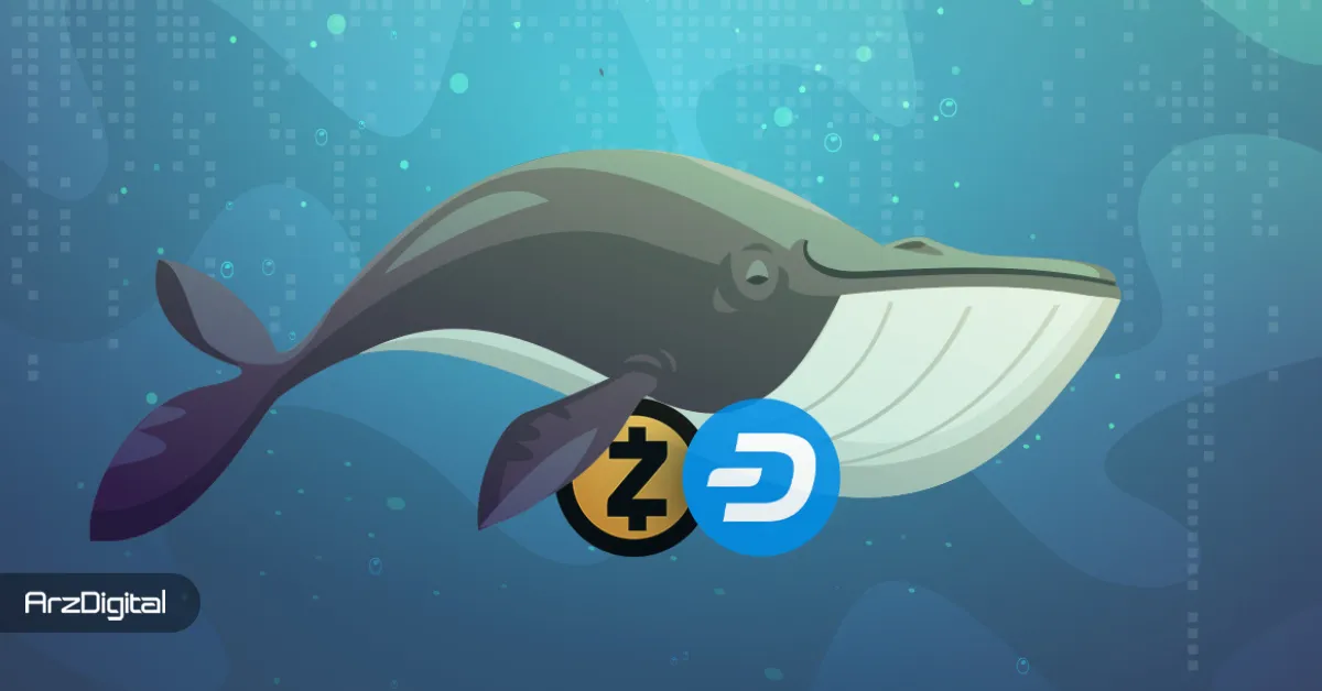 پس از زی‌کش و دش، نهنگ‌ها به سراغ کدام آلت کوین حریم خصوصی رفته‌اند؟