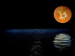 ۱ دلار یا ۱ میلیون دلار، قیمت بیت‌کوین مهم نیست،‌ جاودانگی آن مهم است!