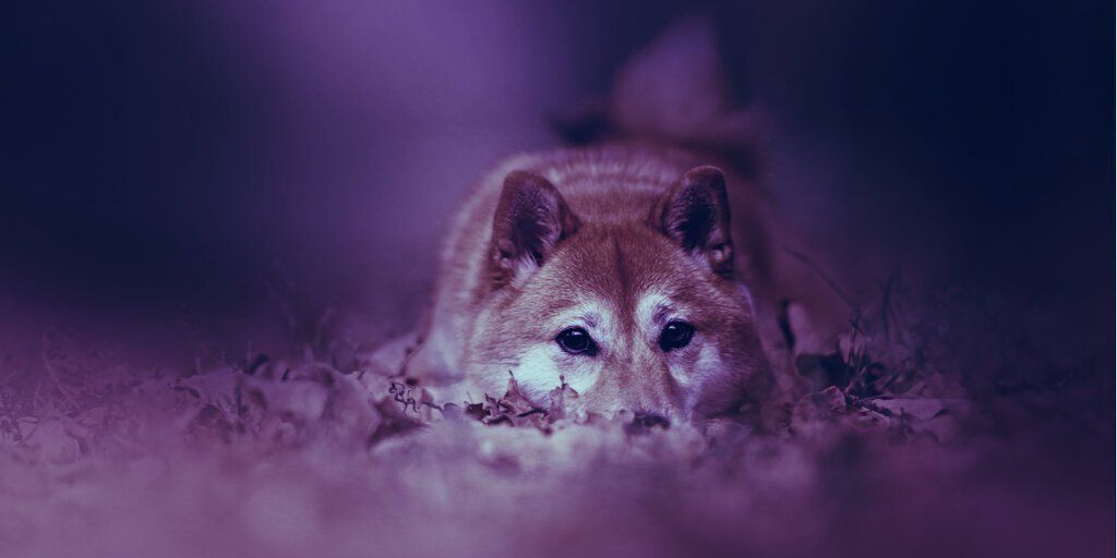 مدیرعامل صرافی بایننس: سرمایه‌گذاری در توکن شیبااینو با ریسک فوق‌العاده زیادی همراه است