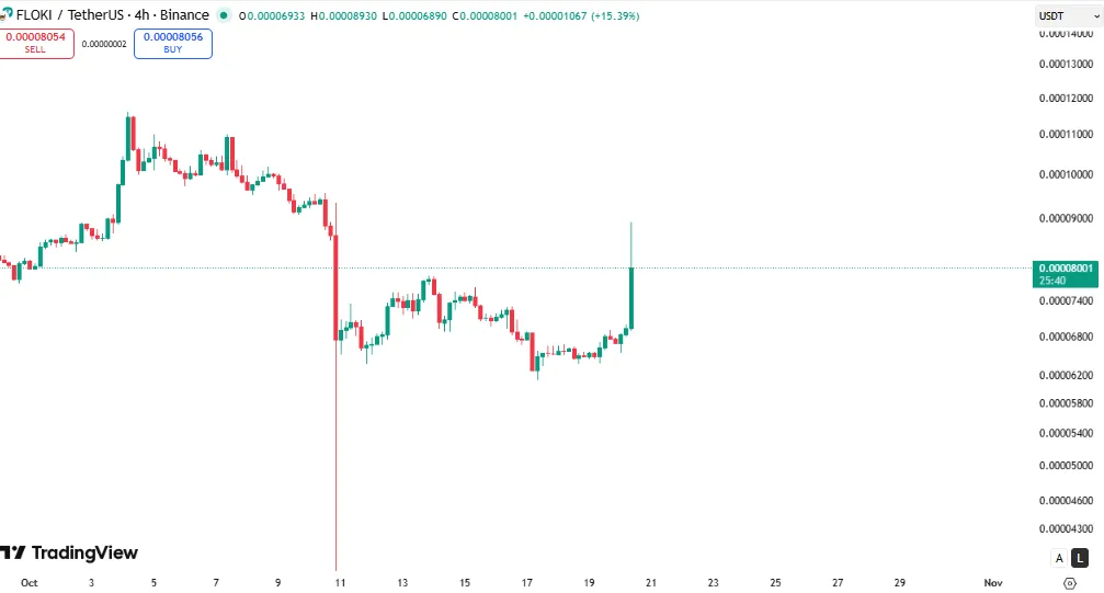 ایلان ماسک با انتشار یک توییت قیمت میم کوین فلوکی را پامپ کرد!
