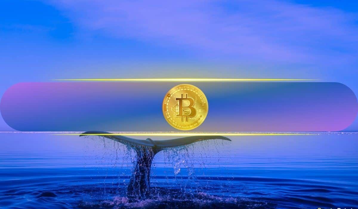 ریزش بیت‌ کوین نهنگ‌ها را فعال کرد؛ افزایش ذخایر هولدرهای بزرگ BTC