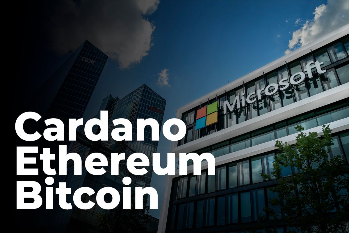 پیتر برنت نوسانات بیت کوین، اتریوم و کاردانو را با سهام مایکروسافت مقایسه کرد