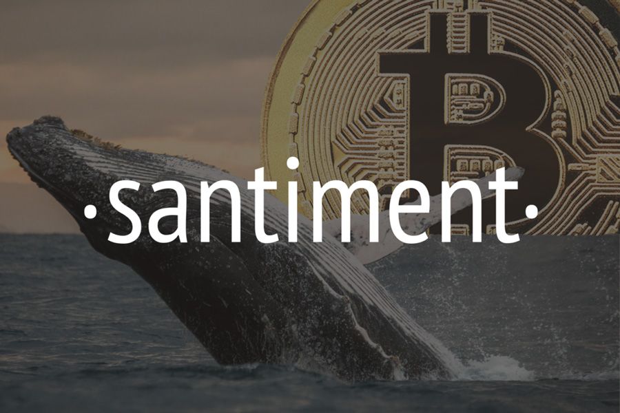 سنتیمنت: نهنگ‌های در ۹ روز گذشته ۹۳۰میلیون دلار بیت کوین خریده‌اند