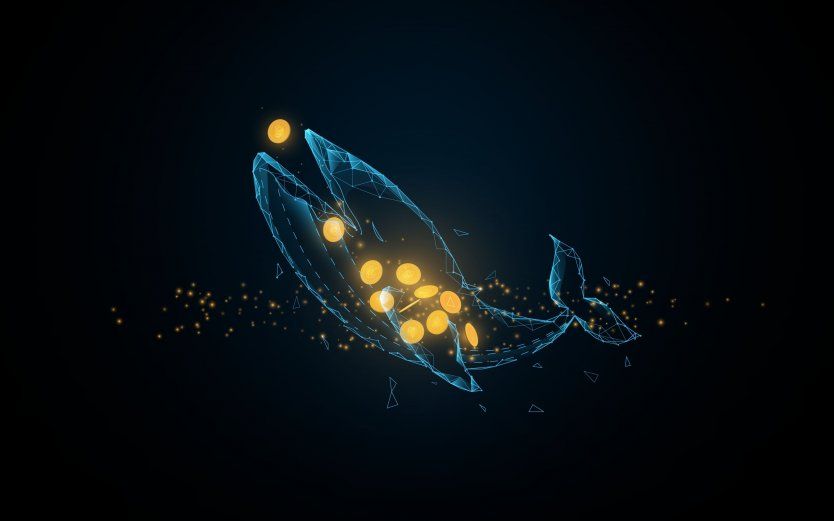 خریداری ۱۸.۸ میلیون دوج کوین توسط یک نهنگ با ۴۰ میلیون ریپل