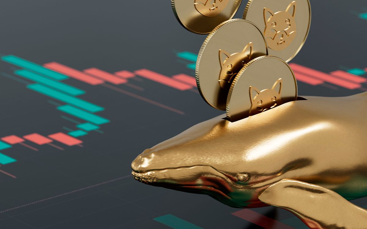 شیبا اینو به برترین دارایی در میان نهنگ‌های بزرگ اتریوم تبدیل شد