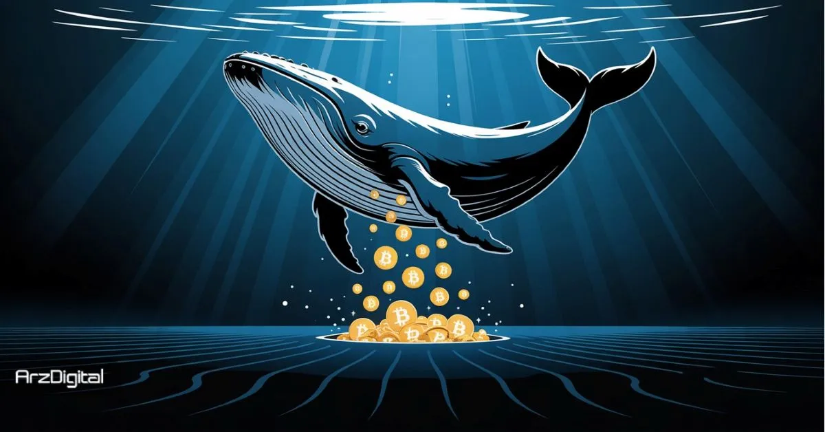 چطور هولدرهای بلندمدت بیت کوین از رشد آن جلوگیری می‌کنند؟