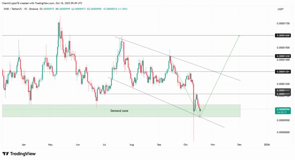 جهش ۱۰ هزار درصدی نرخ توکن سوزی در شیبا اینو قیمت شیبا