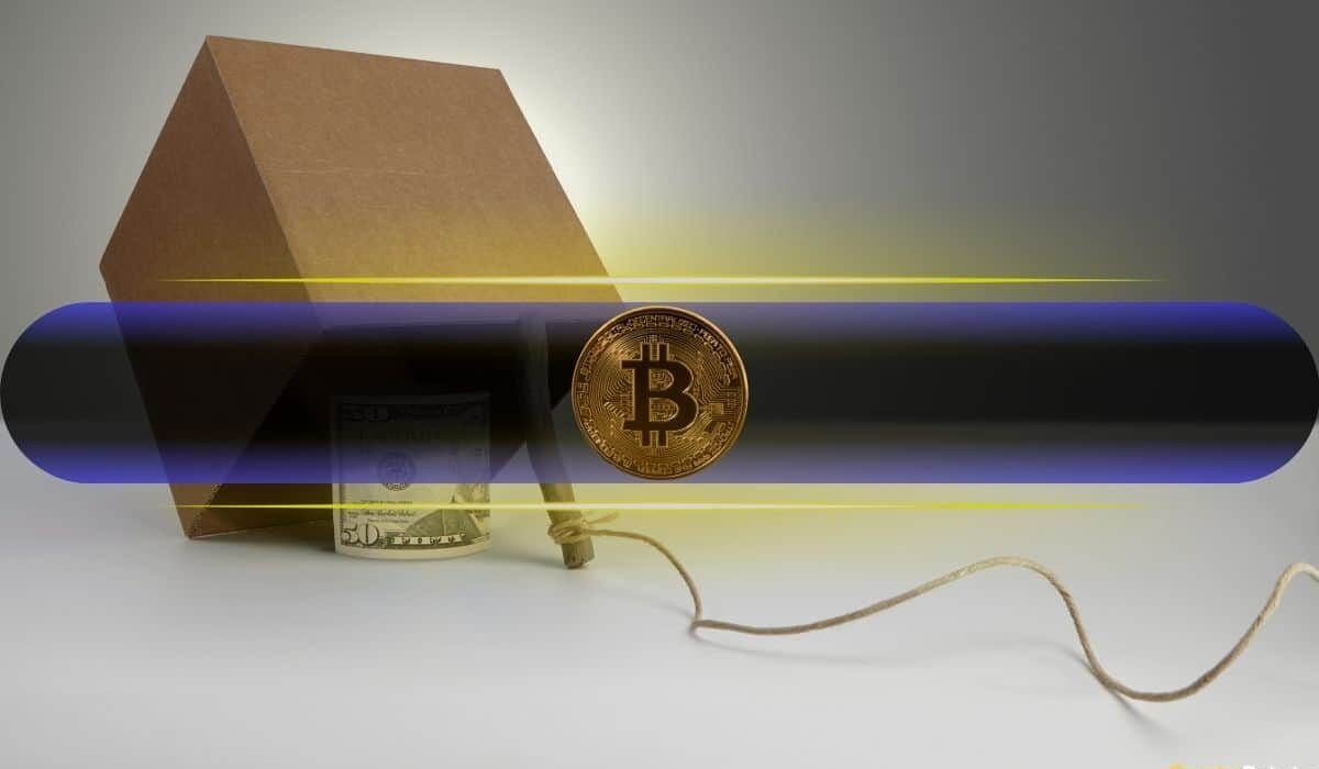 هشدار تحلیلگر معروف از شباهت وضعیت بیت‌ کوین به روزهای قبل از سقوط FTX