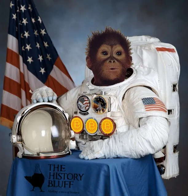 جزیره بیت کوینهای گمشده کجاست؟ جزیره بیت کوینهای گمشده کجاست؟