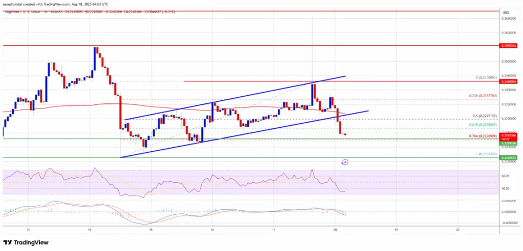 دوج کوین در خطر حمله ۵۱ درصدی! سقوط آزاد DOGE نزدیک است؟