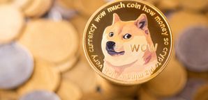 جهش ۳۴ درصدی دوج کوین طی یک هفته اخیر