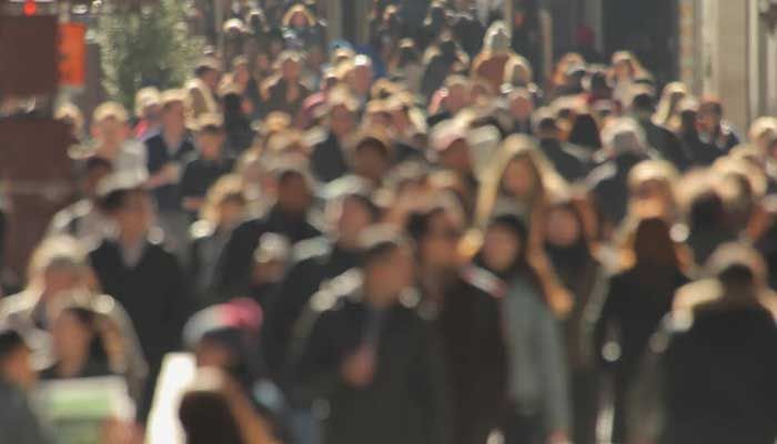 درخت بیت کوین - بخش دوم: فصل