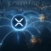 ذخایر نهنگ‌های ریپل به بالاترین سطح ۴ سال اخیر رسید؛ آیا XRP صعود می‌کند؟