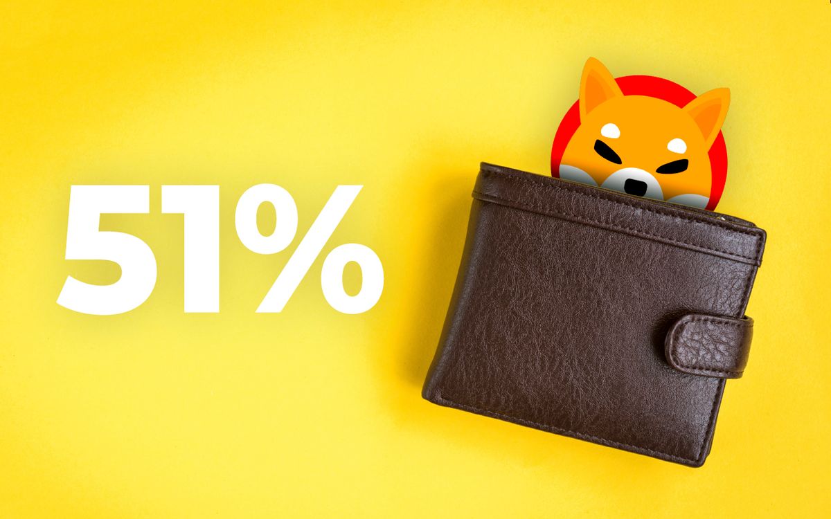 یک کیف پول به تنهایی ۵۱ درصد از جریان عرضه شیبا اینو را در اختیار دارد