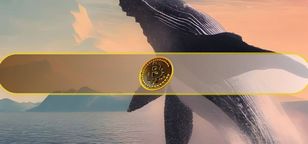 نهنگ‌های بیت کوین همچنان خریدارند؛ انباشت بیش از ۱ میلیون BTC در دو ماه