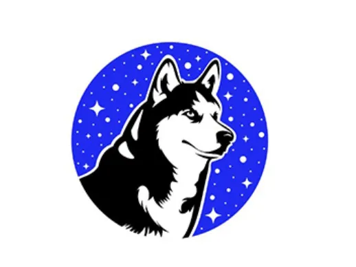 نمودار قیمت میم کوین هاسکی آواکس (HUSKY)