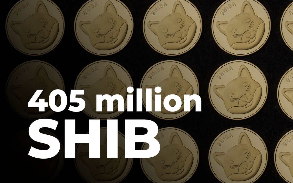 ۴۰۵ میلیون واحد شیبا اینو در ۲۴ ساعت اخیر سوزانده شده است